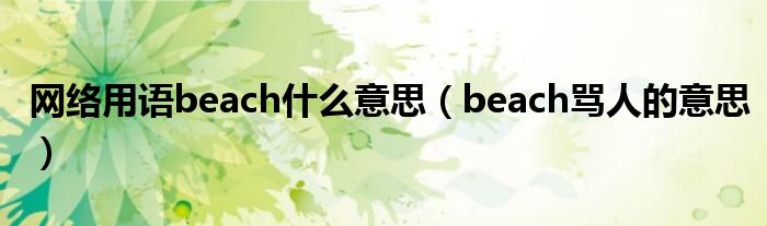 网络用语beach什么意思（beach骂人的意思）