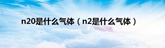 n20是什么气体（n2是什么气体）