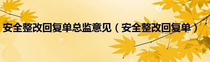 安全整改回复单总监意见（安全整改回复单）