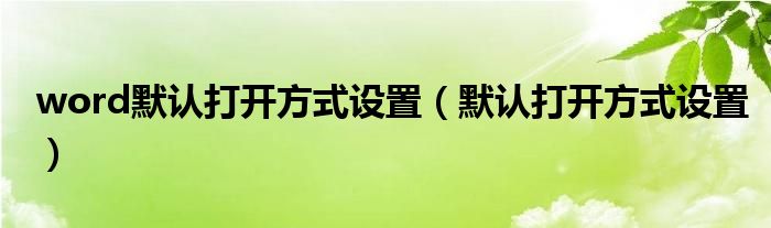 word默认打开方式设置（默认打开方式设置）