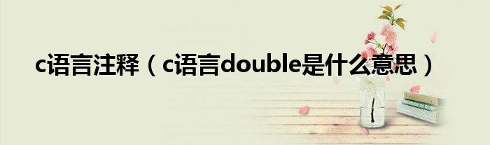 c语言注释（c语言double是什么意思）