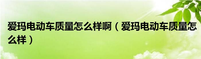 爱玛电动车质量怎么样啊（爱玛电动车质量怎么样）