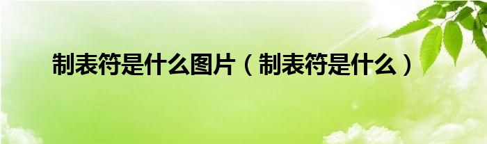 制表符是什么图片（制表符是什么）