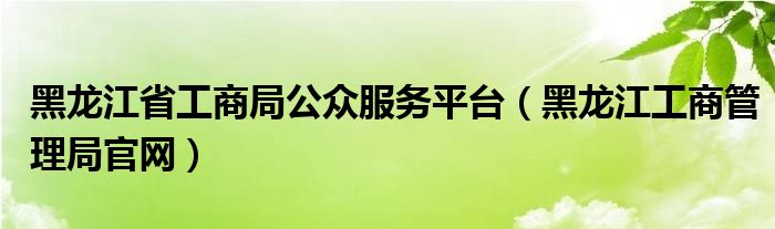 黑龙江省工商局公众服务平台（黑龙江工商管理局官网）