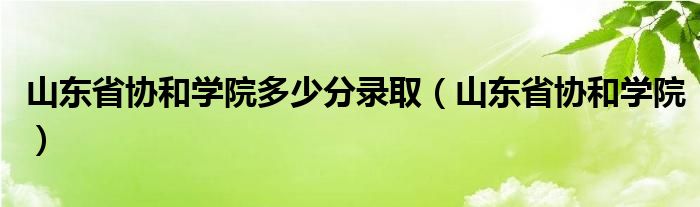 山东省协和学院多少分录取（山东省协和学院）