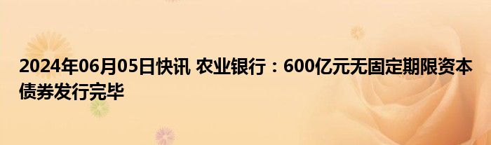 2024年06月05日快讯 农业银行：600亿元无固定期限资本债券发行完毕