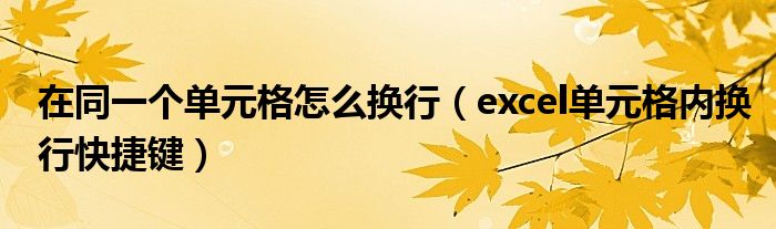 在同一个单元格怎么换行（excel单元格内换行快捷键）