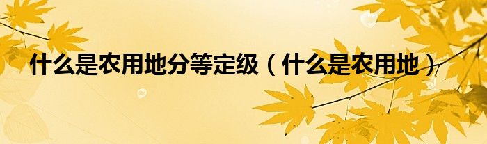 什么是农用地分等定级（什么是农用地）