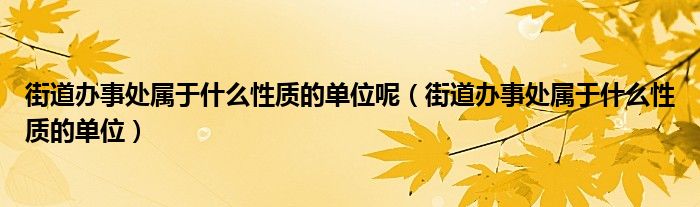 街道办事处属于什么性质的单位呢（街道办事处属于什么性质的单位）