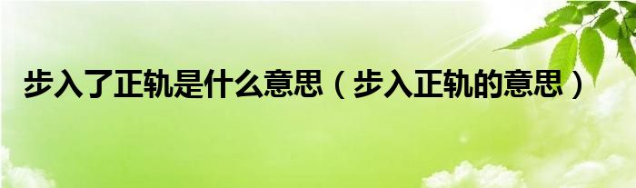 步入了正轨是什么意思（步入正轨的意思）