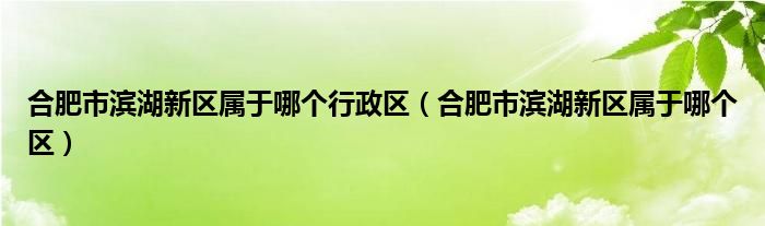 合肥市滨湖新区属于哪个行政区（合肥市滨湖新区属于哪个区）