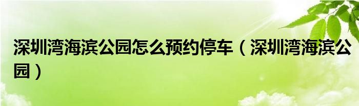 深圳湾海滨公园怎么预约停车（深圳湾海滨公园）