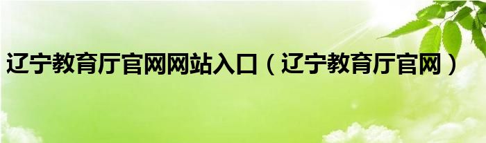 辽宁教育厅官网网站入口（辽宁教育厅官网）