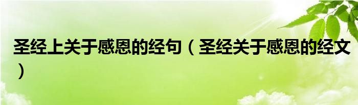 圣经上关于感恩的经句（圣经关于感恩的经文）