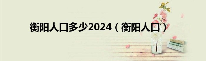 衡阳人口多少2024（衡阳人口）