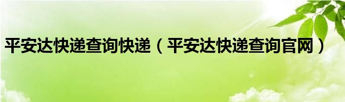 平安达快递查询快递（平安达快递查询官网）