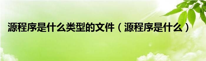 源程序是什么类型的文件（源程序是什么）