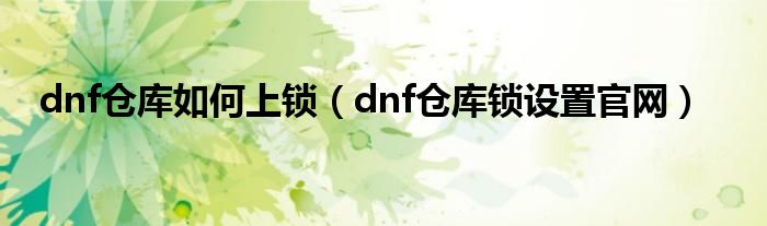 dnf仓库如何上锁（dnf仓库锁设置官网）