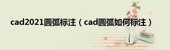 cad2021圆弧标注（cad圆弧如何标注）