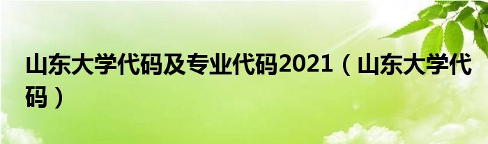 山东大学代码及专业代码2021（山东大学代码）