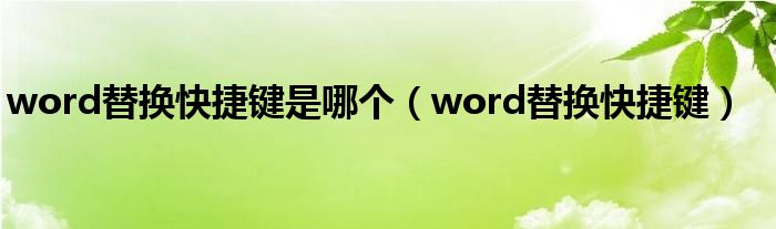 word替换快捷键是哪个（word替换快捷键）