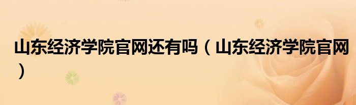 山东经济学院官网还有吗（山东经济学院官网）