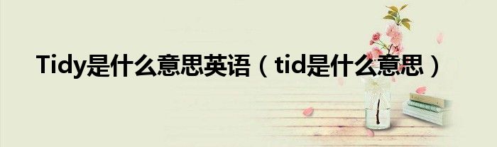 Tidy是什么意思英语（tid是什么意思）