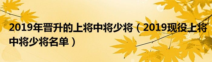 2019年晋升的上将中将少将（2019现役上将中将少将名单）