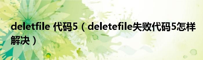 deletfile 代码5（deletefile失败代码5怎样解决）