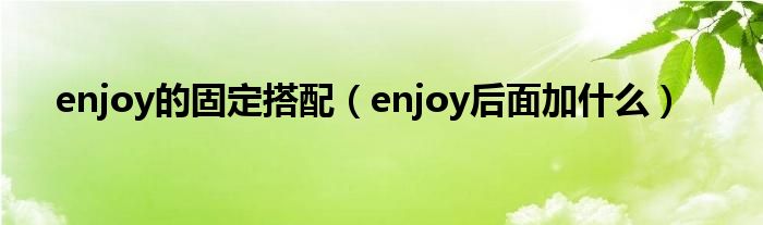 enjoy的固定搭配（enjoy后面加什么）