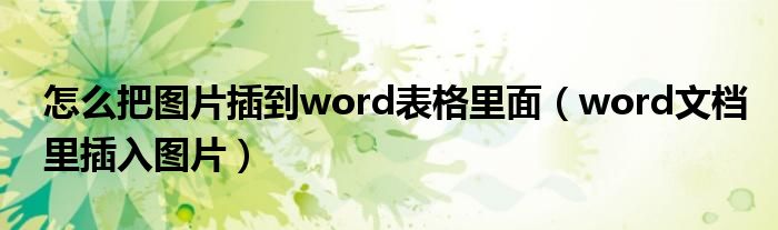 怎么把图片插到word表格里面（word文档里插入图片）