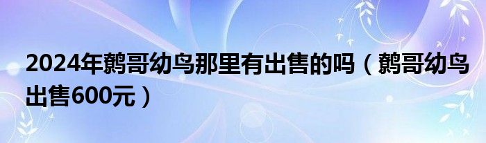 2024年鹩哥幼鸟那里有出售的吗（鹩哥幼鸟出售600元）