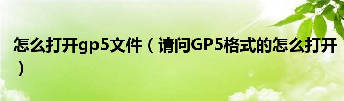 怎么打开gp5文件（请问GP5格式的怎么打开）