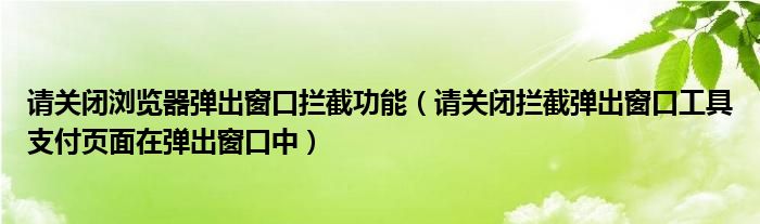 请关闭浏览器弹出窗口拦截功能（请关闭拦截弹出窗口工具支付页面在弹出窗口中）