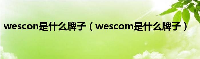 wescon是什么牌子（wescom是什么牌子）