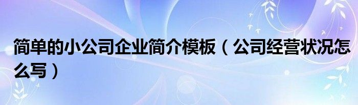 简单的小公司企业简介模板（公司经营状况怎么写）