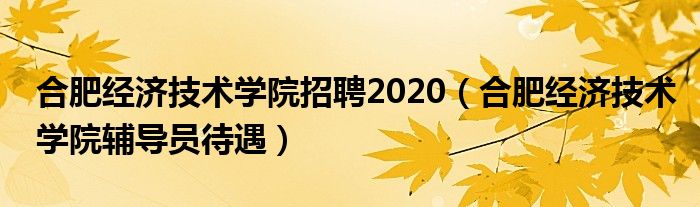 合肥经济技术学院招聘2020（合肥经济技术学院辅导员待遇）