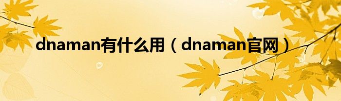 dnaman有什么用（dnaman官网）