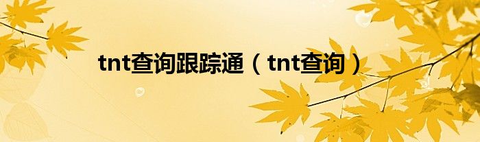 tnt查询跟踪通（tnt查询）