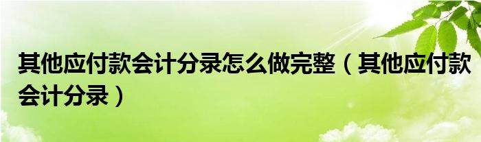 其他应付款会计分录怎么做完整（其他应付款会计分录）