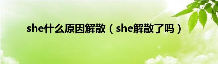 she什么原因解散（she解散了吗）