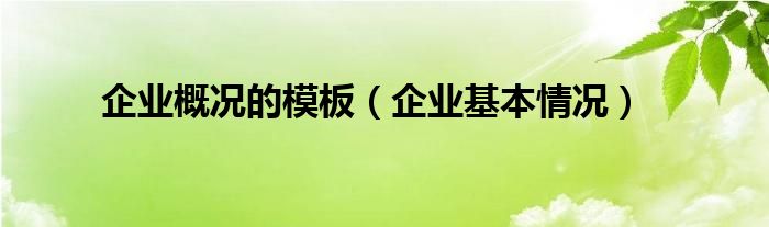 企业概况的模板（企业基本情况）