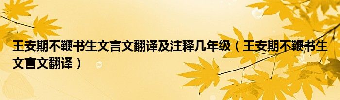 王安期不鞭书生文言文翻译及注释几年级（王安期不鞭书生文言文翻译）