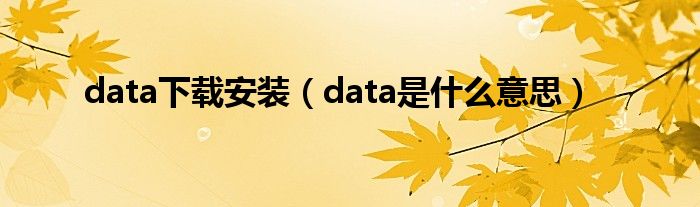 data下载安装（data是什么意思）