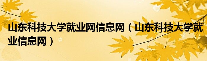 山东科技大学就业网信息网（山东科技大学就业信息网）