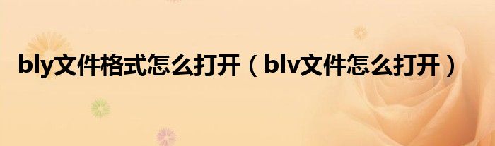 bly文件格式怎么打开（blv文件怎么打开）