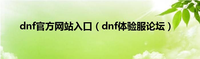 dnf官方网站入口（dnf体验服论坛）