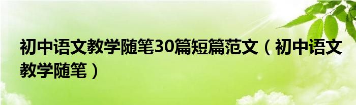 初中语文教学随笔30篇短篇范文（初中语文教学随笔）