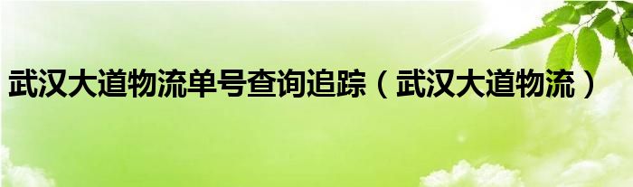 武汉大道物流单号查询追踪（武汉大道物流）