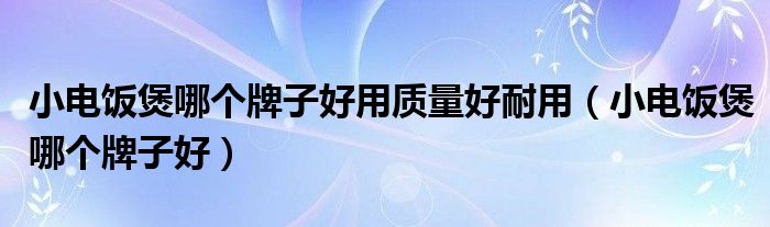 小电饭煲哪个牌子好用质量好耐用（小电饭煲哪个牌子好）